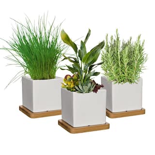 CHG CLASSIC HOME  GARDEN 3.5 in. Nova White Ceramic Square Planter with Tray (3-Pack) K90030