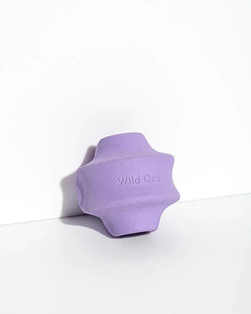 Wild One Lilac Twist Toss Dog Toy | Tomlinson's Feed