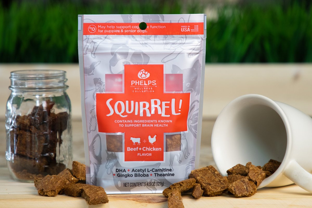 Phelps Wellness Collection Squirrel! Beef and Chicken Flavor Dog Treats， 4-oz bag