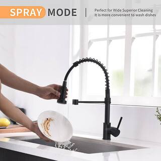 FLG 1-Handle Commercial Kitchen Sink Faucet With Pull Down Sprayer Single Hole Kitchen Faucets Spring Modern Tap Matte Black CC-0022-MB