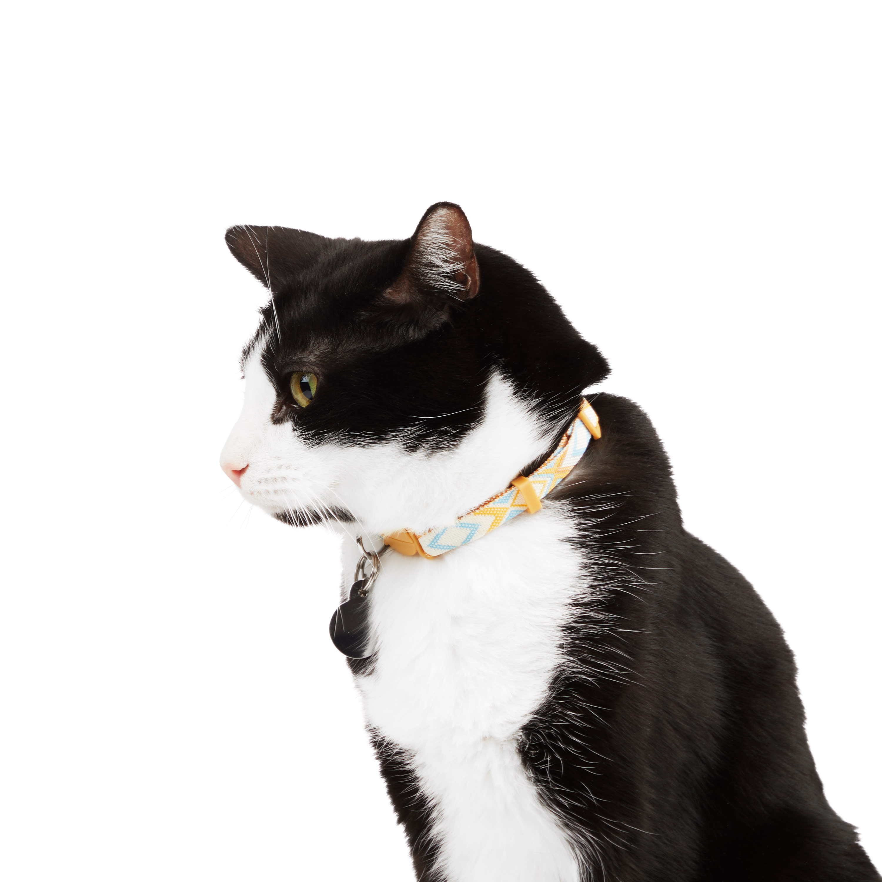 Youly Matching Friendship Bracelet and Collar for Cats