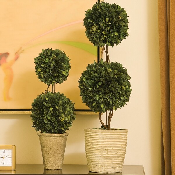 Boxwood Double Sphere Topiary 20