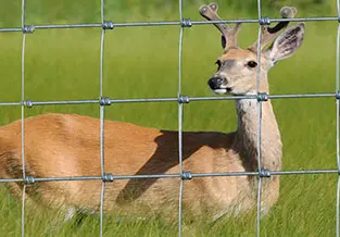 Factory direct supply iron wire mesh cattle fence 30m with good quality and cheap price