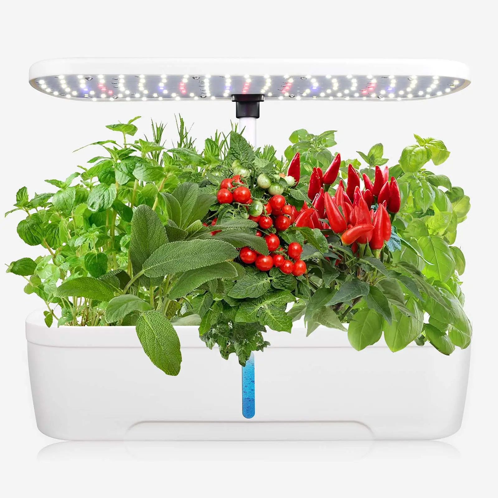 White Black 12 Pods Indoor Hydroponics growing system vases without air pump  suitable offices garden supplies