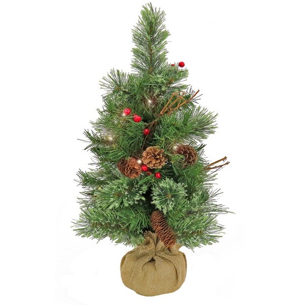 National Tree Company 2 ft. Glistening Pine Small Tree with Warm White Battery Operated LED Lights