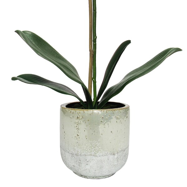 White Artificial Phalaenopsis Orchid Flower Arrangement in Half Glazed Ceramic Pot 22in