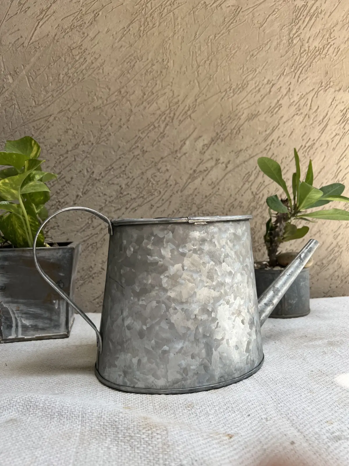 Premium Quality Hot Selling Galvanized Decorative Mini Watering Can with Best Price watering can