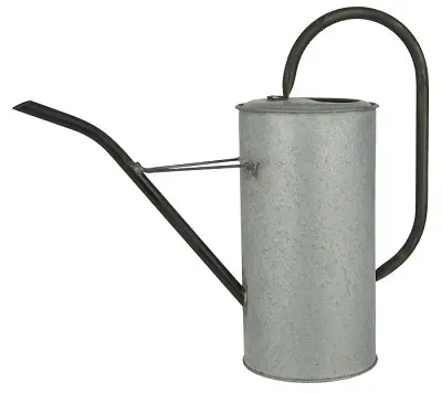 Metal flower Water Can Premium Quality Wholesale Luxury Can Best Selling Inexpensive Galvanized Water Cane