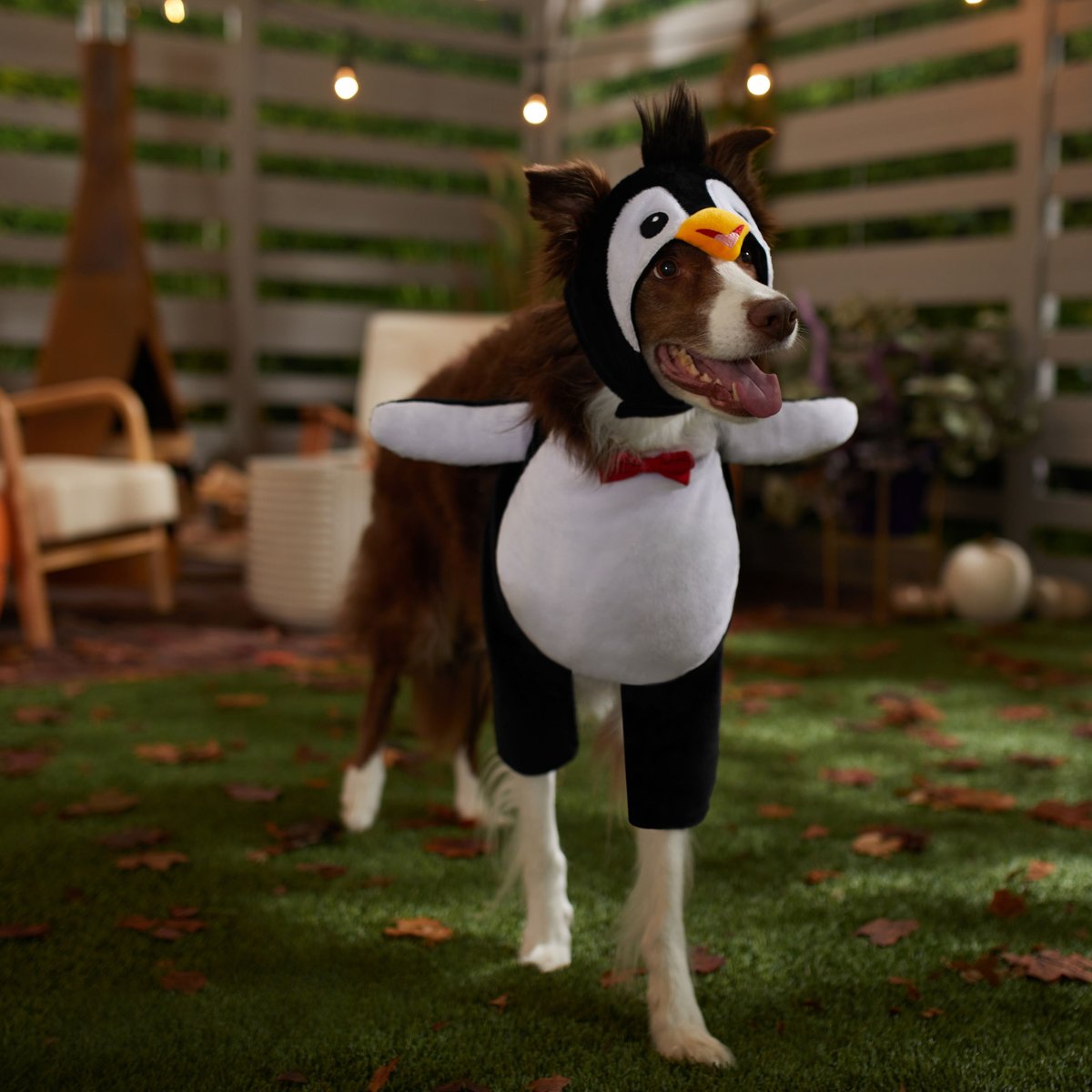 Frisco Front Walking Penguin Dog and Cat Costume