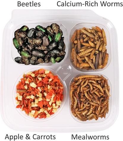 Exotic Nutrition Hedgehog Variety Pack Small Pet Treats