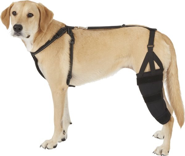 Labra Left Leg Dog Knee Brace