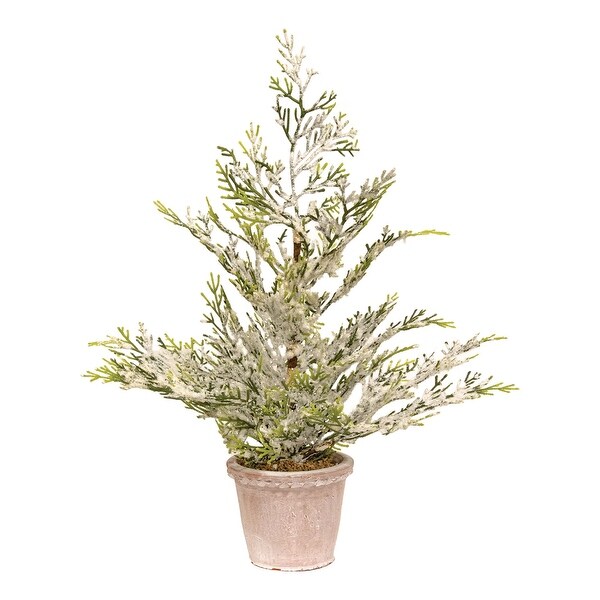 Snowy Juniper Tree In Planter