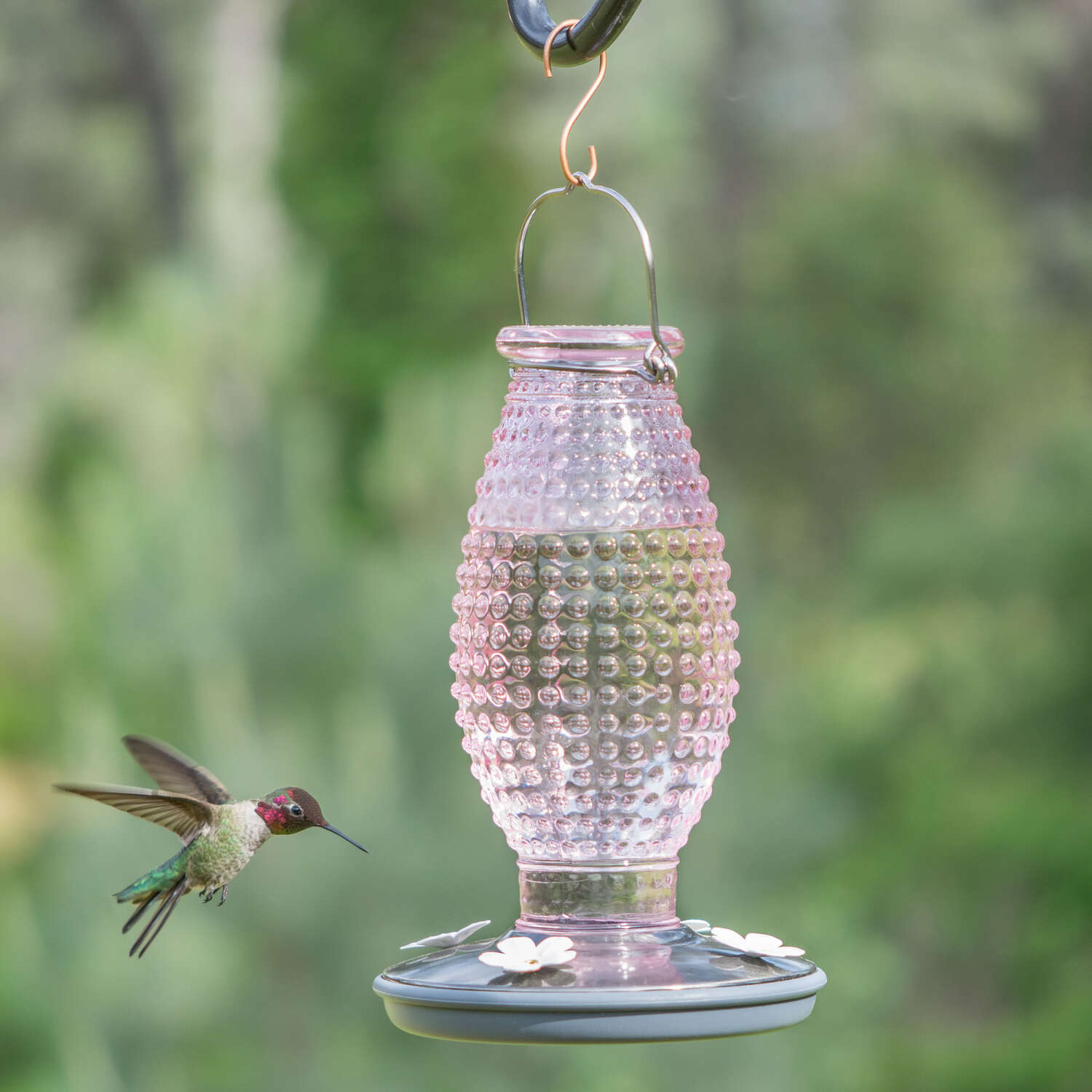 Perky-Pet Hummingbird 16 oz Glass/Metal Nectar Feeder 4 ports