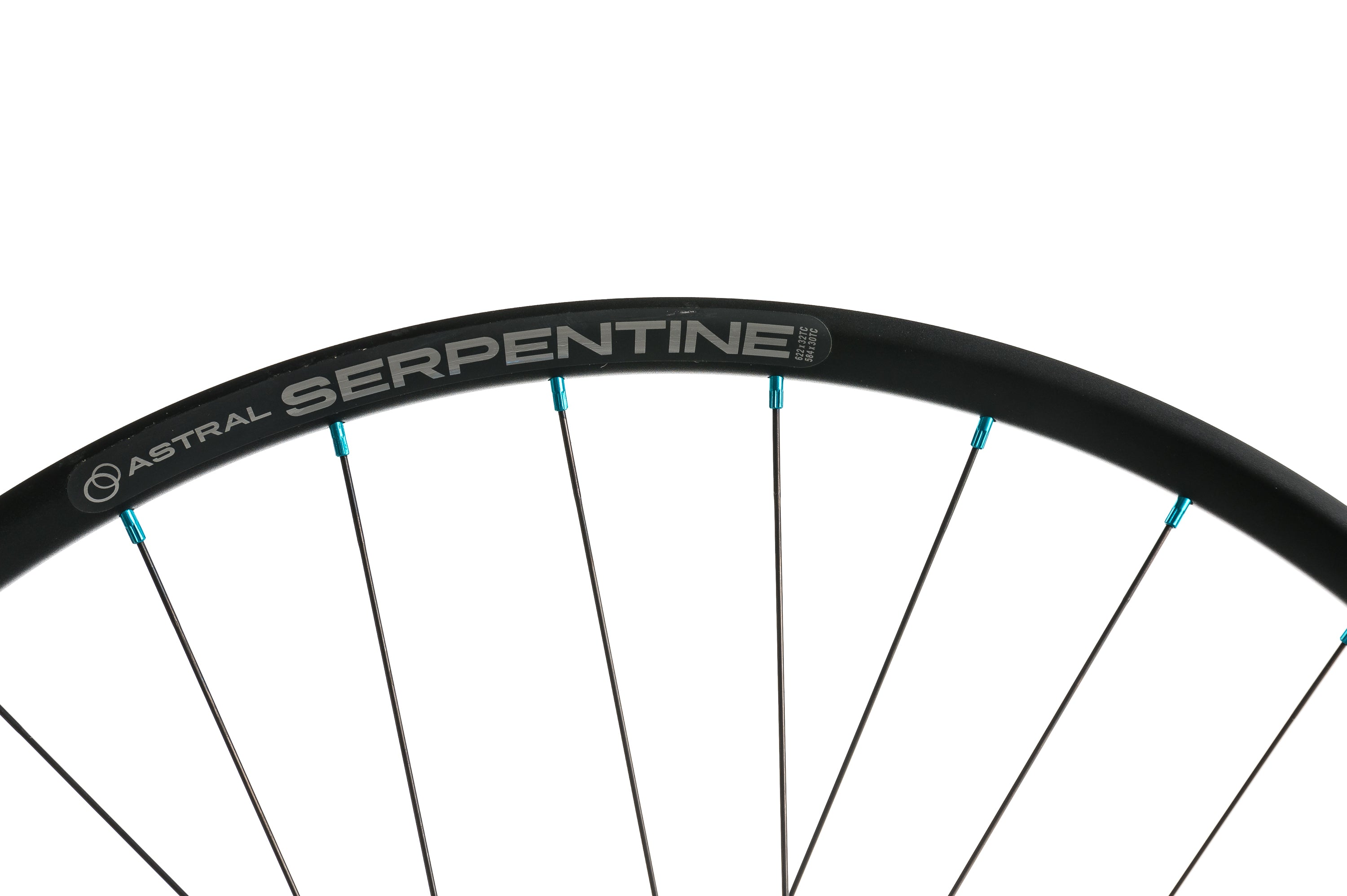 Astral Serpentine w/ Project 321 Hubs Aluminum Tubeless 29