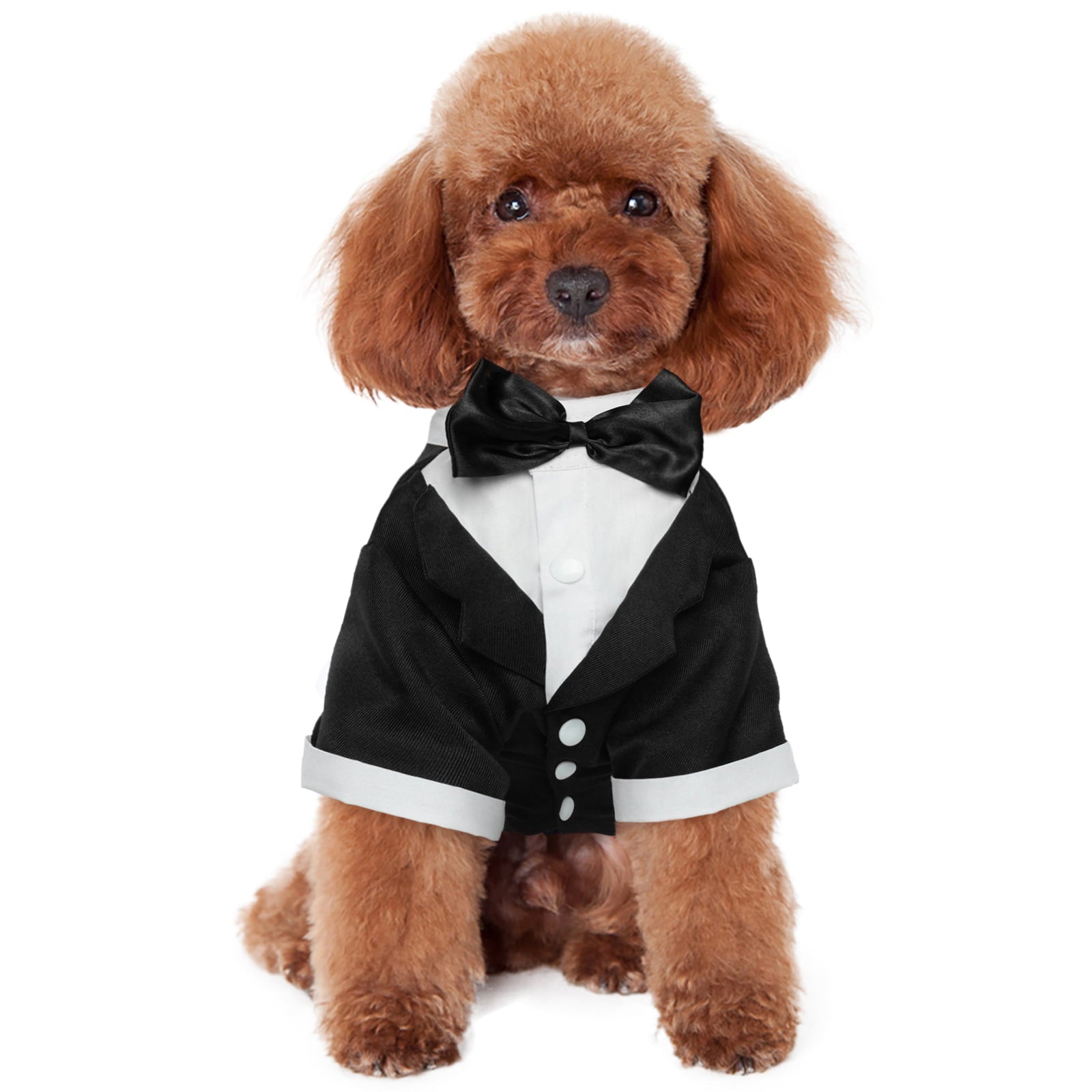 Kuoser Dog Tuxedo Dog Formal Suit with Bow Tie Pet Wedding Shirt，Black，S