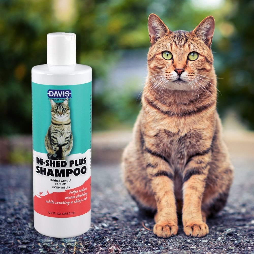 Davis DeShed Plus Shampoo for Cats， 12-oz bottle