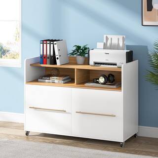 BYBLIGHT Atencio White 2-Drawer Mobile File Cabinet with Storage Shelves and Locking Casters for Home Office BB-XK00093DT