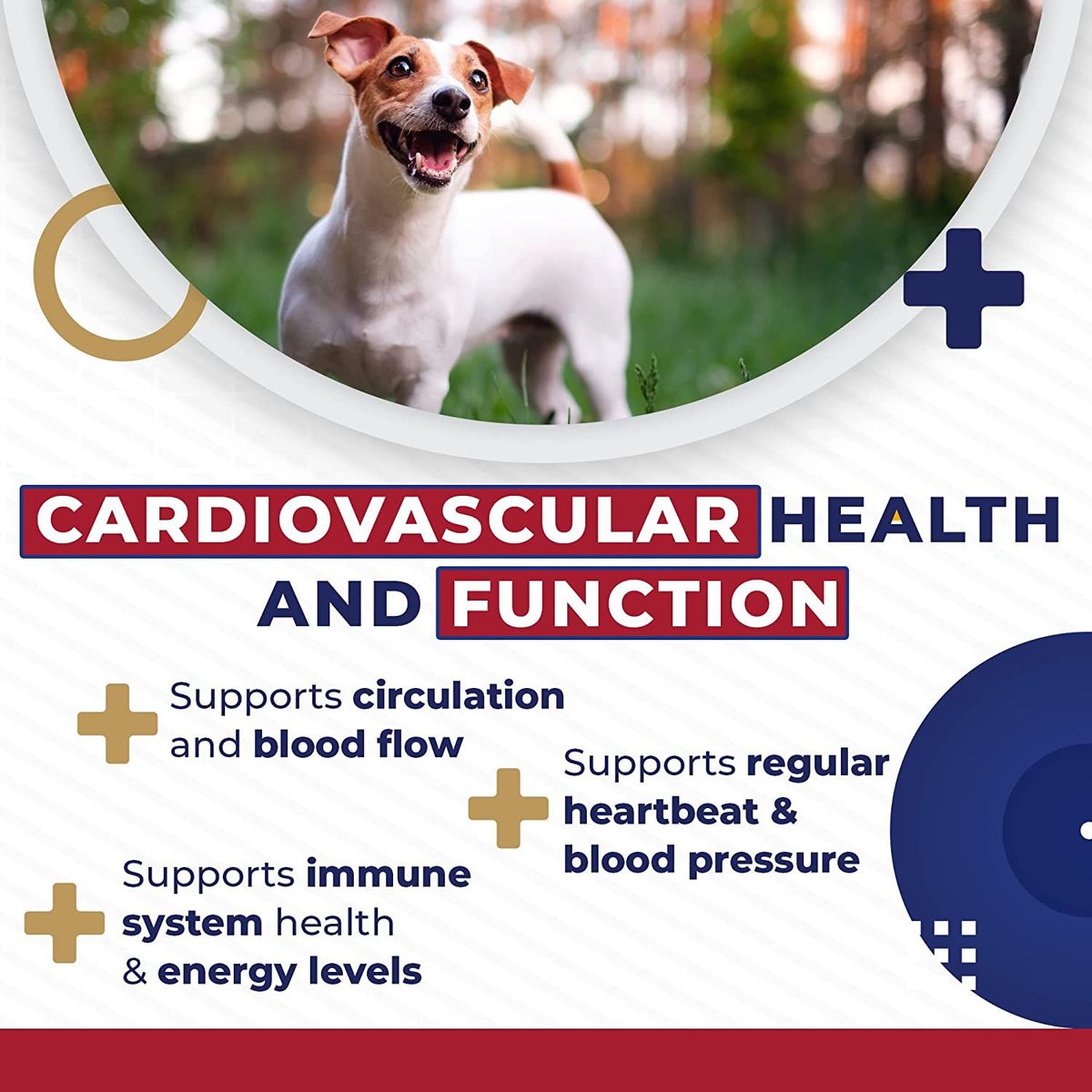 Pet Health Pharma Cardio Heart Health Chicken Flavored Tablets Supplements for Cats and Dogs， 120 count