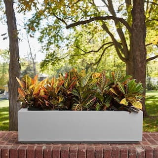 PolyStone Planters Riviera Short 46 in. x 12 in. Concrete Gray Trough 2003