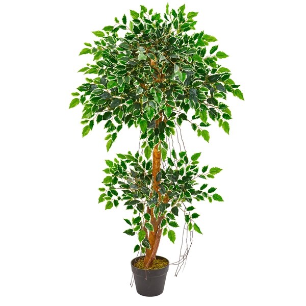 4' Variegated Ficus Artificial Tree