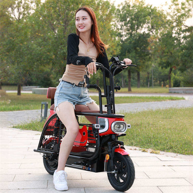 2023 Wholesale OEM cycle china cheapest e bike electric  high quality bike city 48V 8Ah folding electric pet bike for women