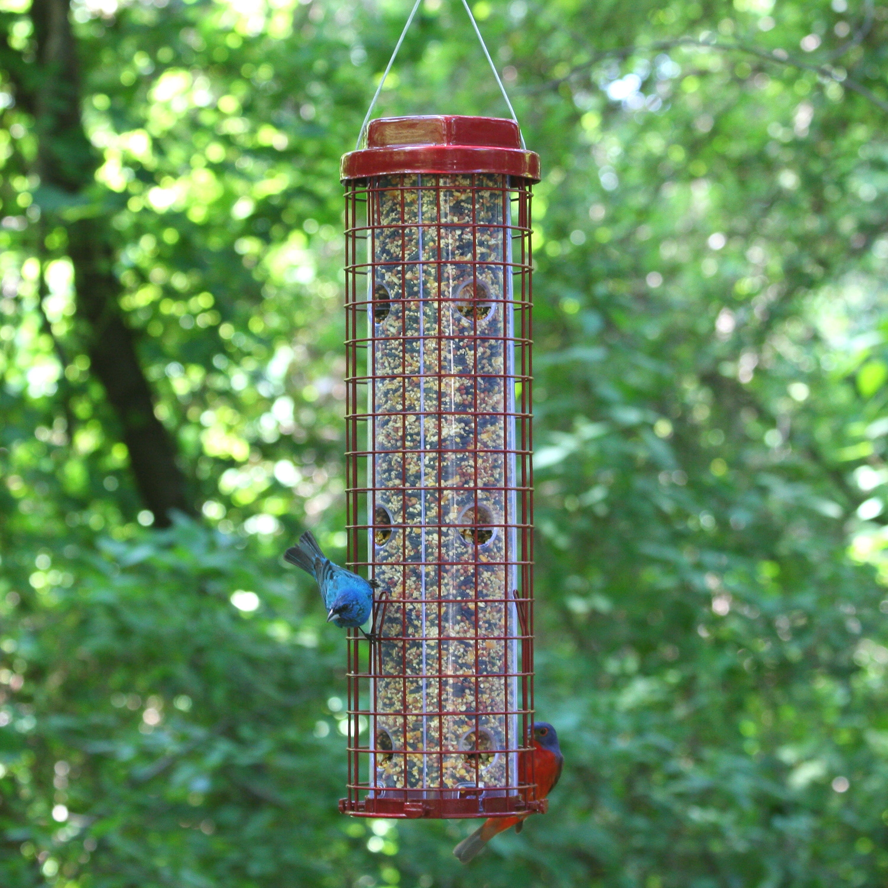 Perky-Pet Red Squirrel Resistant Easy Wild Bird Tube Feeder - 4 lb