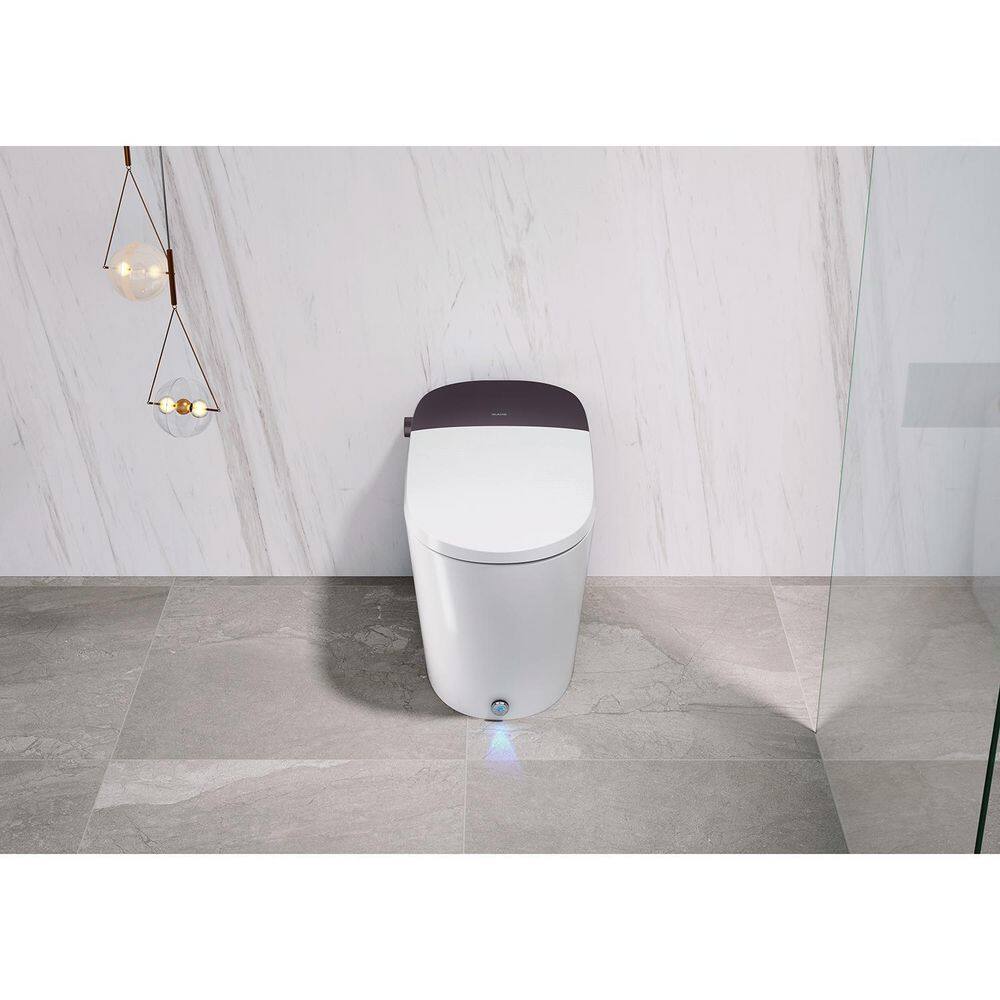 Dyconn Niara 12 in. Rough-In 1-piece 1.051.6 GPF Single Flush Elongated Toilet in White Seat Included DF07TA