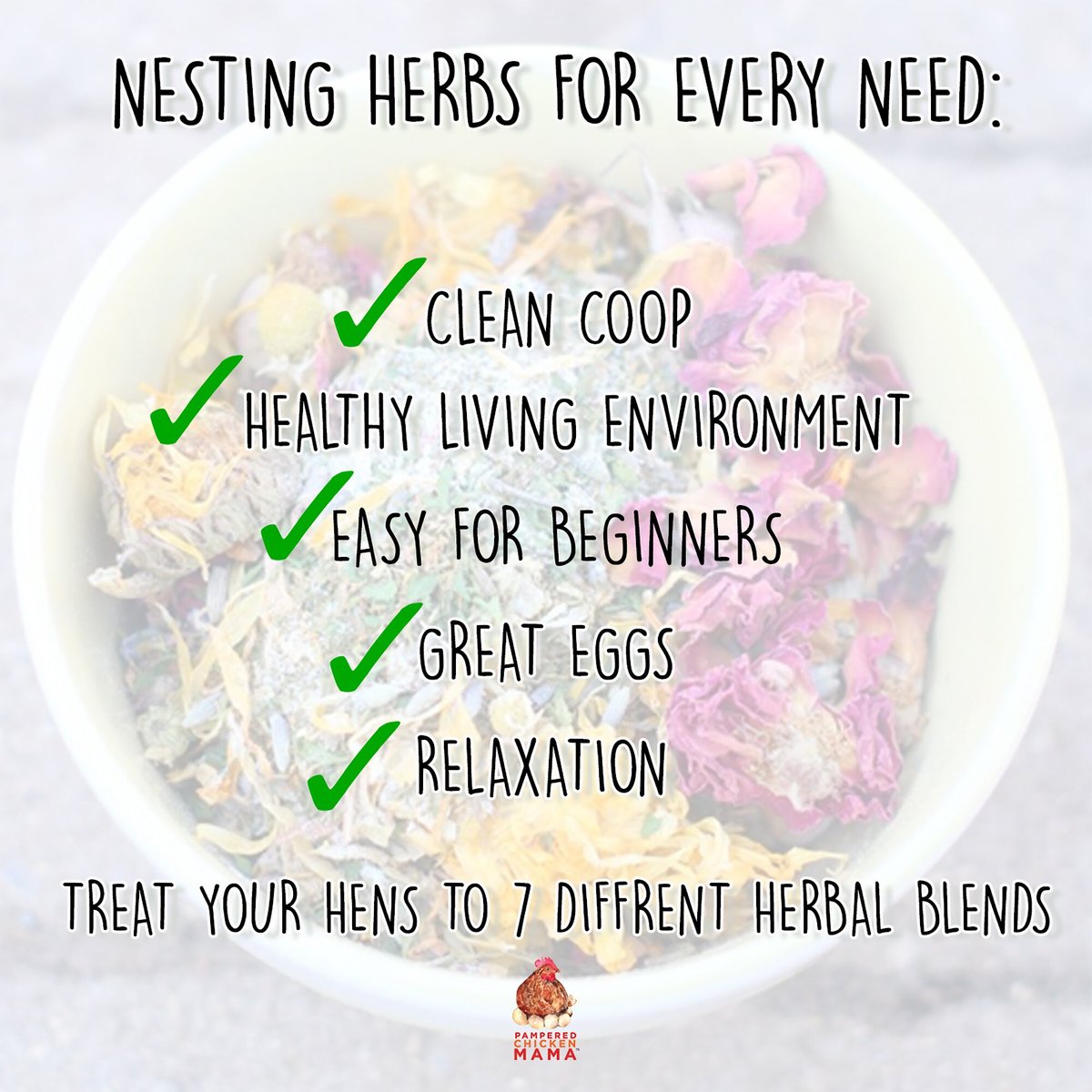 Pampered Chicken Mama Nesting Herb Starter Kit