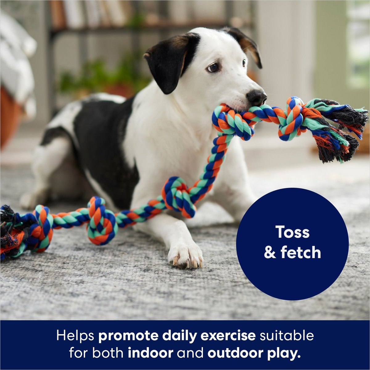 Frisco Rope with 5 Knots Dog Toy