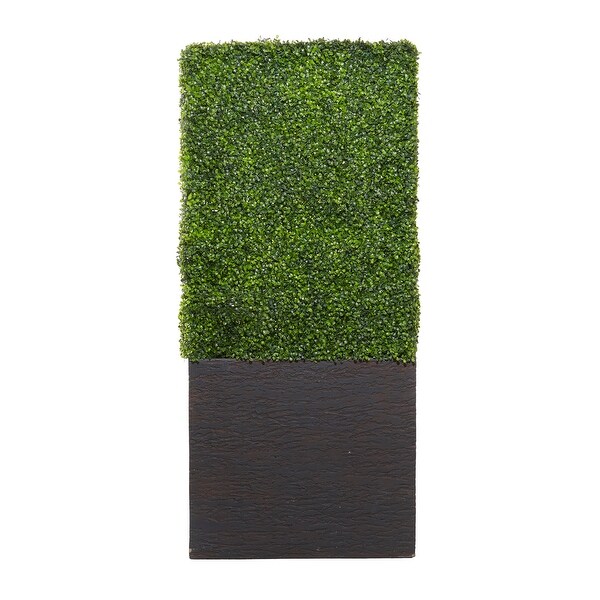 Exclusive and Utmost Beautiful Boxwood Hedge