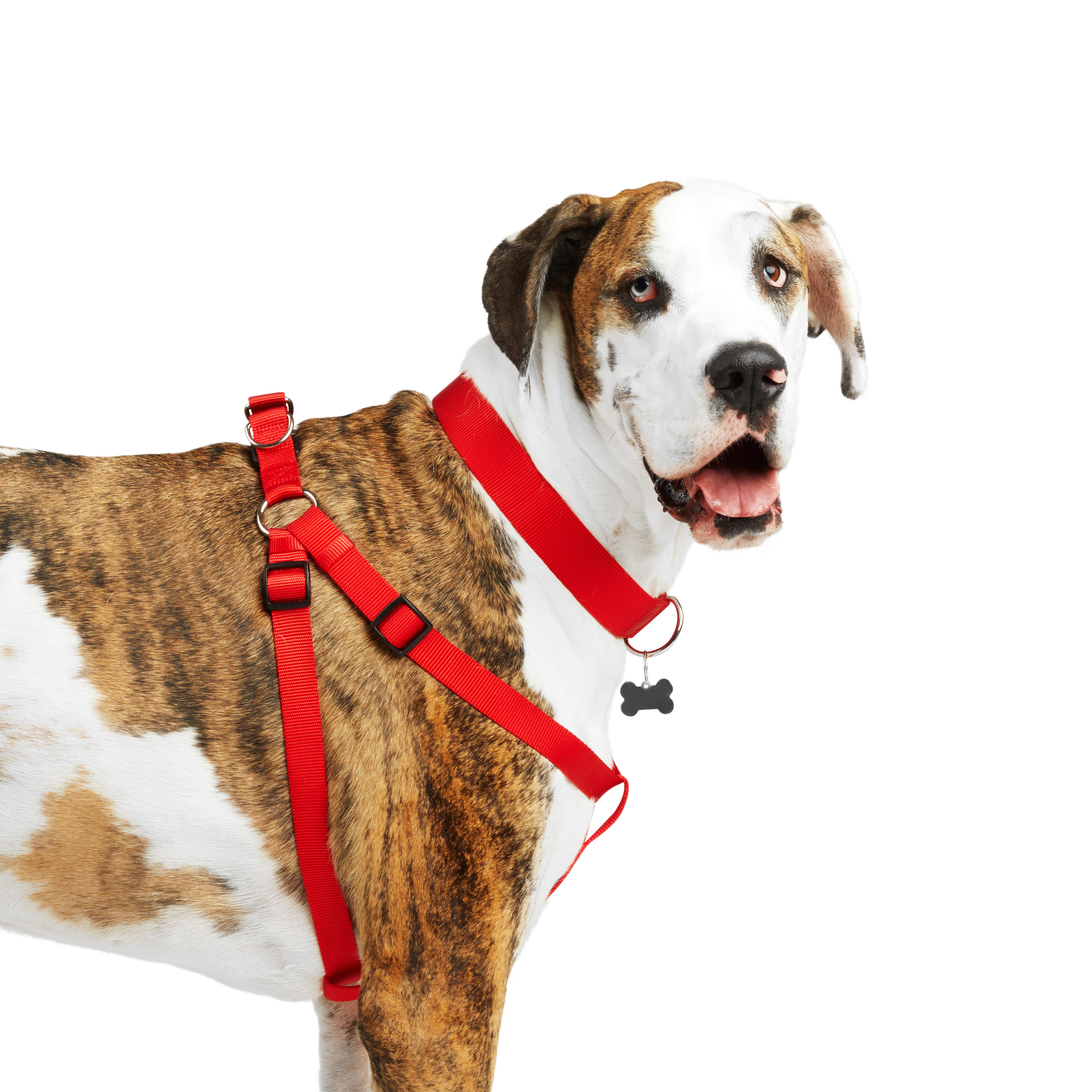 YOULY Red Dog Harness， X-Small