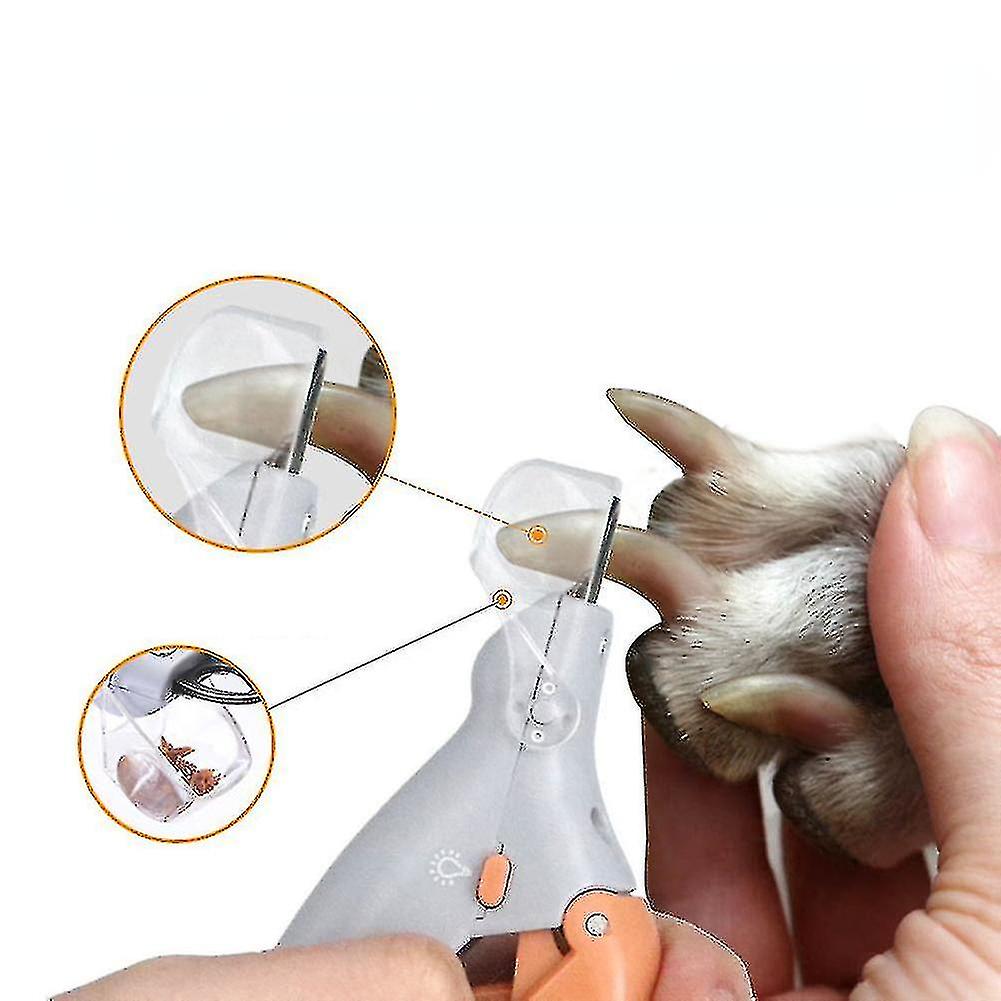 Professional Pet Nail Clipper Scissors Pet Dog Cat Nail Toe Claw Scissors Led Lamp Nail Trimmer Animal Pet Supplies(1pcs)