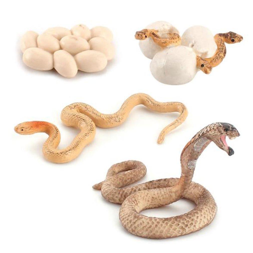 Simulation Snake Growth Cycle Cobra Sand Python Model Children's Early Learning Cognitive Solid Decoration Toy Figure