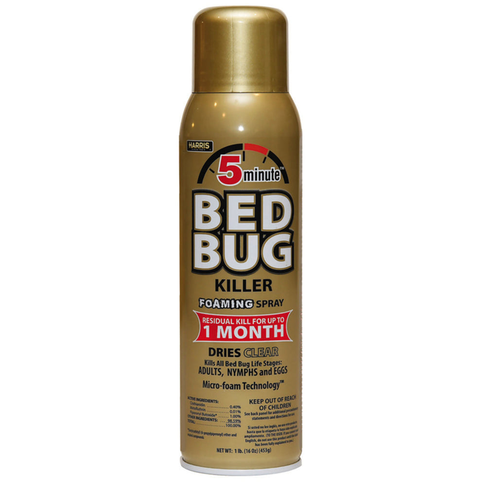 BEDBUG KLR FOAM 16OZ