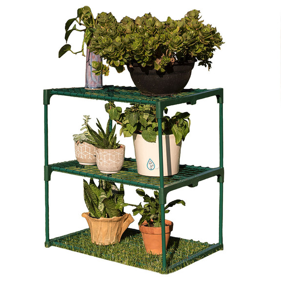 Zenport SH3222A 3 Tier Greenhouse Plant Growing Ra...