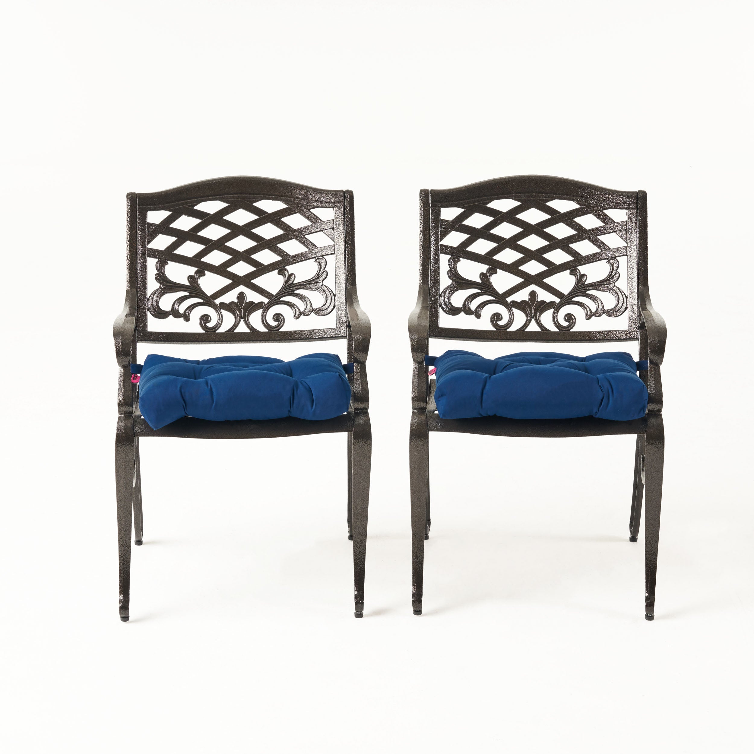 Juel Outdoor Dining Chair with Cushion (Set of 2)