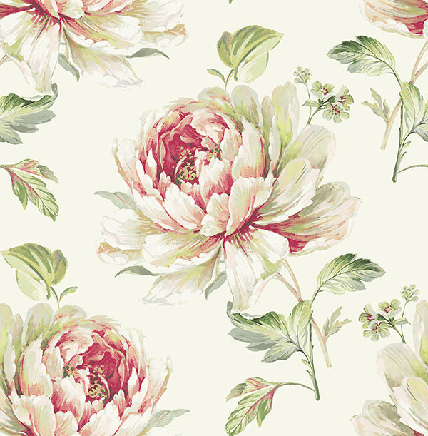 Sample Jarrow Floral Wallpaper in Ivory and Reds by Carl Robinson