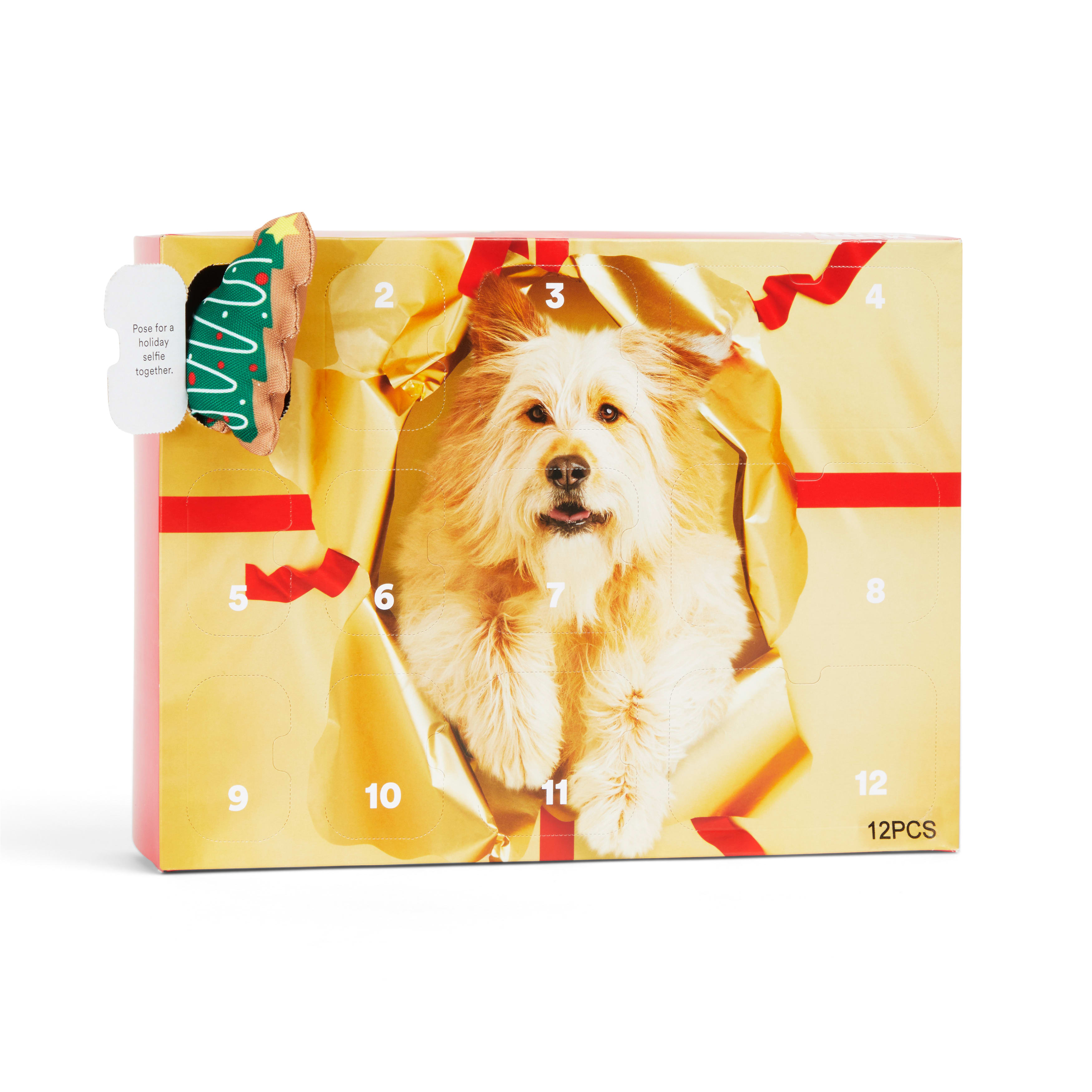 More and Merrier Big Advent Calendar Dog Toy