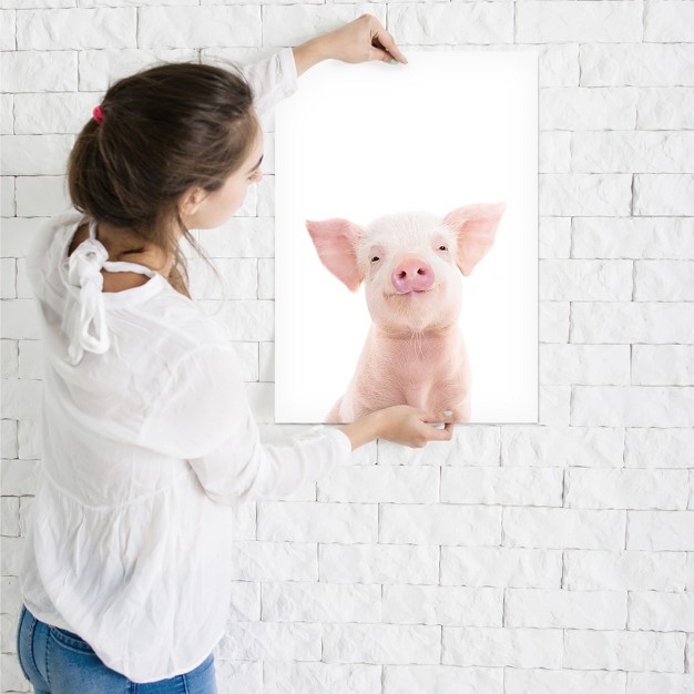 Americanflat Animal Piglet By Sisi And Seb Poster