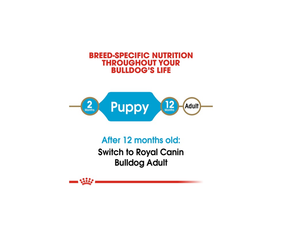 Royal Canin - Bulldog Puppy Dry Dog Food