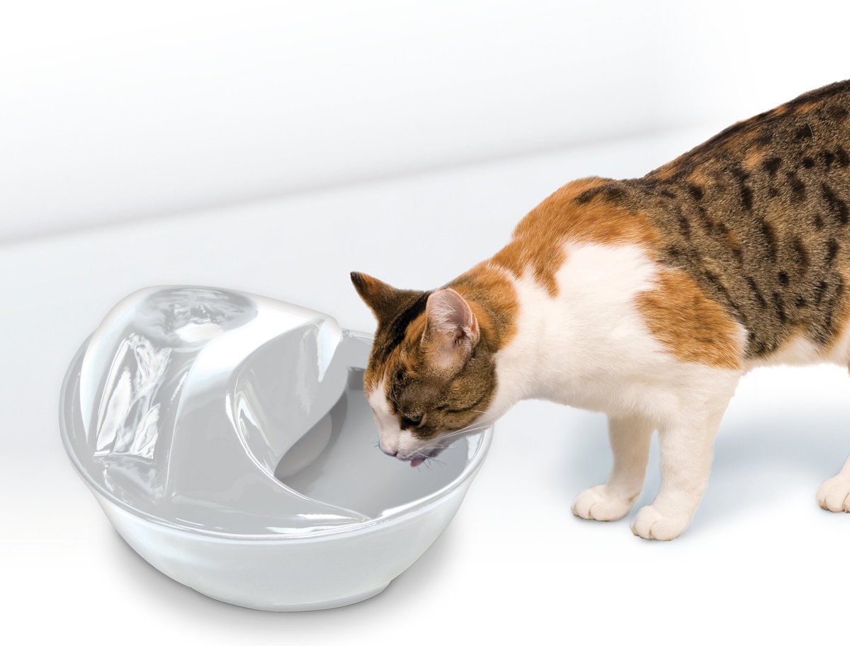 Pioneer Pet Raindrop Ceramic Dog and Cat Fountain