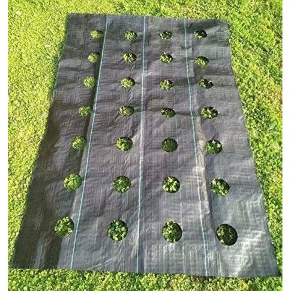 Agfabric 4 ft. x 12 ft. Easy-Plant Weed Block for Raised Bed Outdoor Garden Weed Rugs with Planting Hole Diameter 3 in. G300412H312