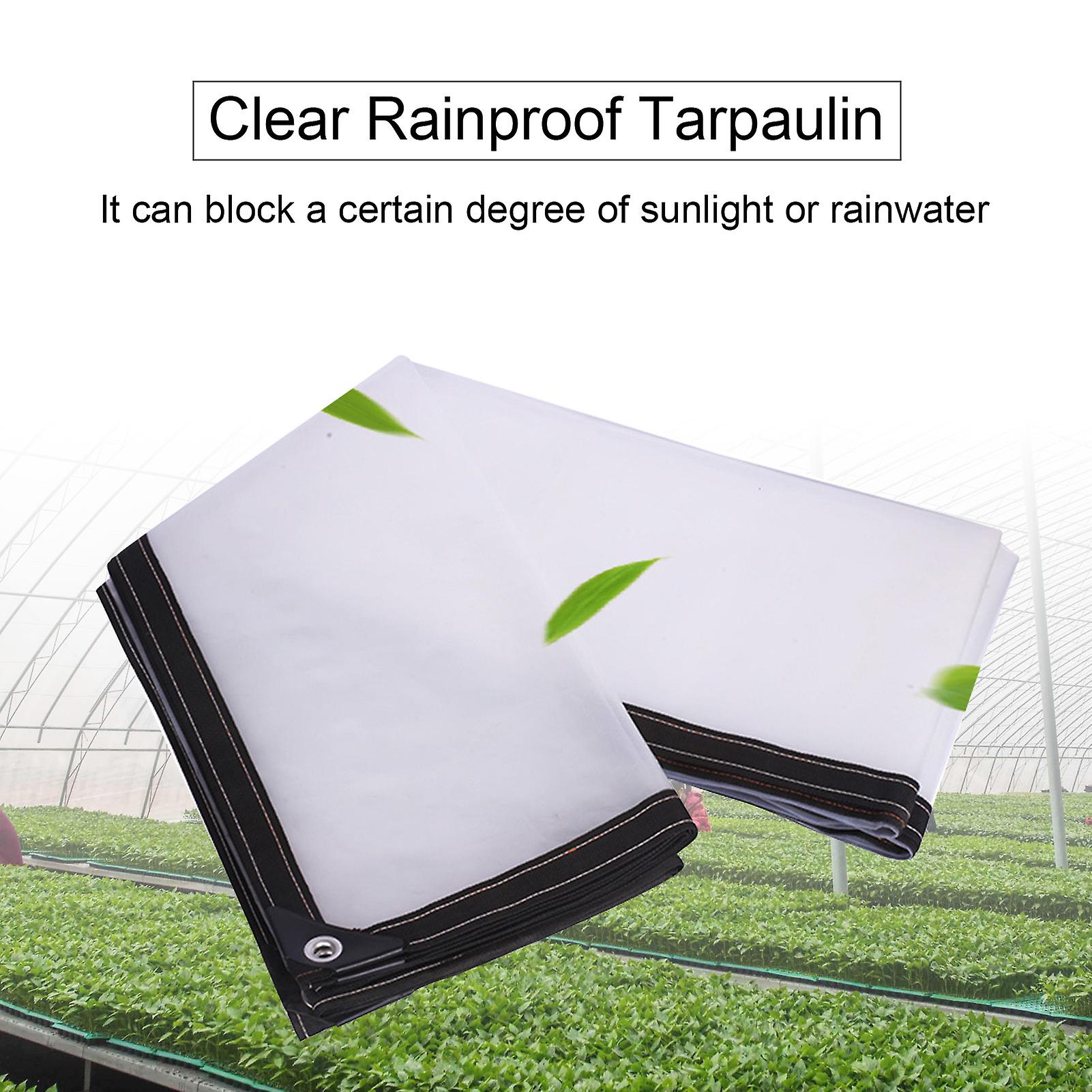 Clear Waterproof Cover Tarp With Elastic Ties Dustproof Rainproof Tarpaulin 6 X 6ft Garden Plant Cover With Eyelets For Plant Greenhouse Kennels Yard