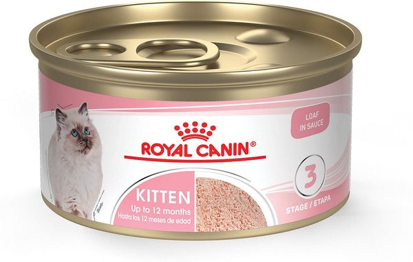 Royal Canin Feline Health Nutrition Kitten Loaf in Sauce Canned Cat Food