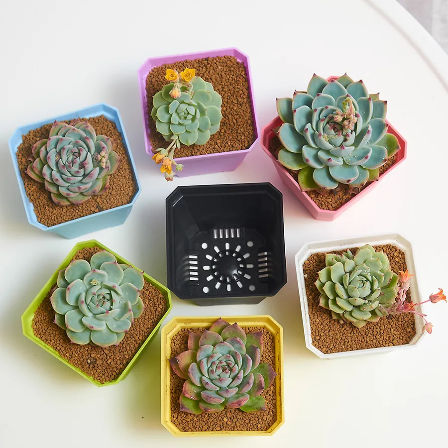 Customizable Square Succulent Indoor Outdoor Plant Pots With Drainage