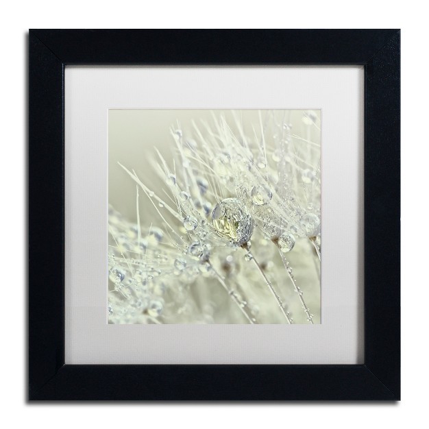 Trademark Fine Art cora Niele x27 dandelion Dew Iii x27 Matted Framed Art