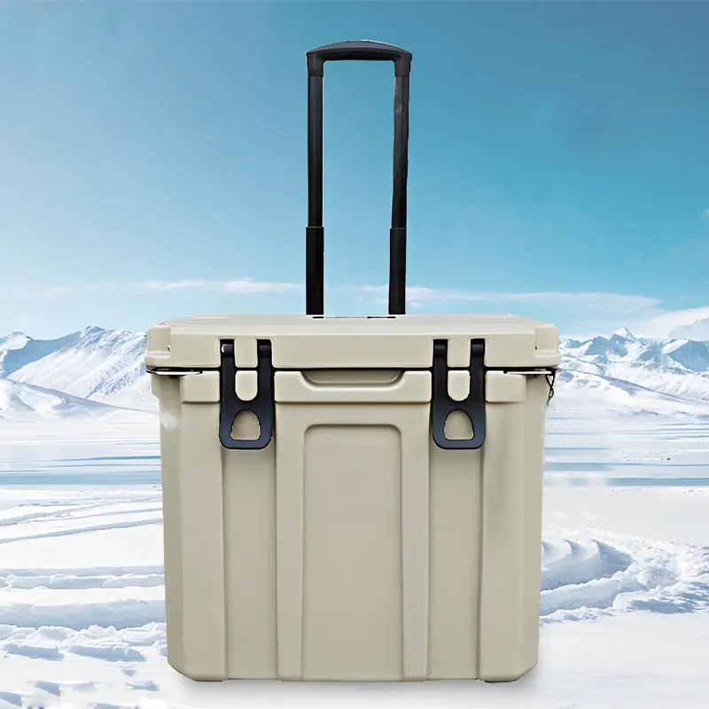 medical transport feminine cargo camping cooler box big lunch cheap cooler box thermoelectric picnic foam 89 lts with key