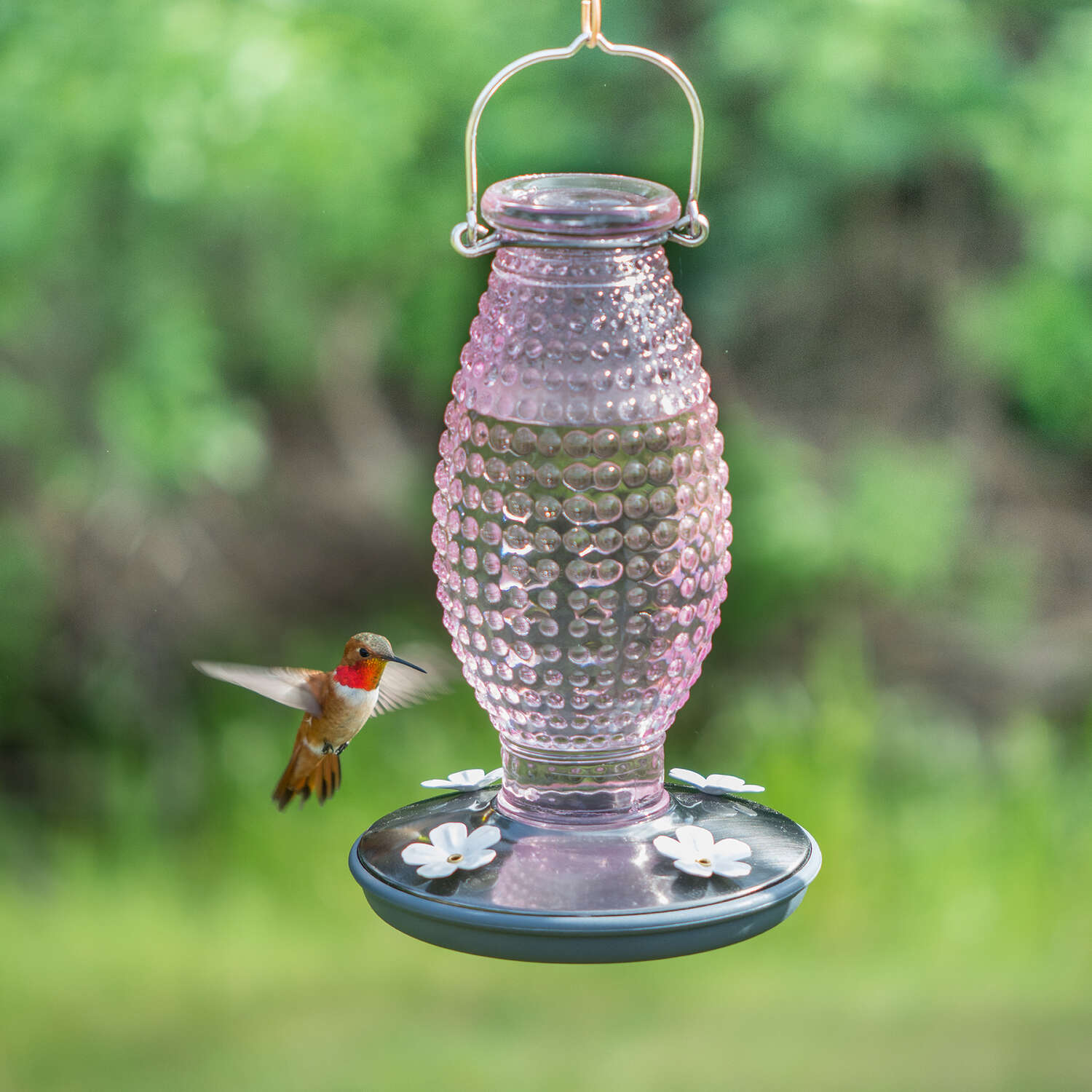 Perky-Pet Hummingbird 16 oz Glass/Metal Nectar Feeder 4 ports