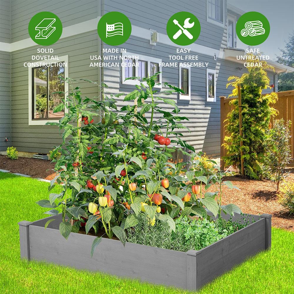 BTMWAY 48 in. L x 48 in. W x 10 in. H Cedar Wood Outdoor Square Raised Garden Bed Kit， Planter Box， Tool-Free Assembly CXXSQ-GI81262D469-Gardenbed01