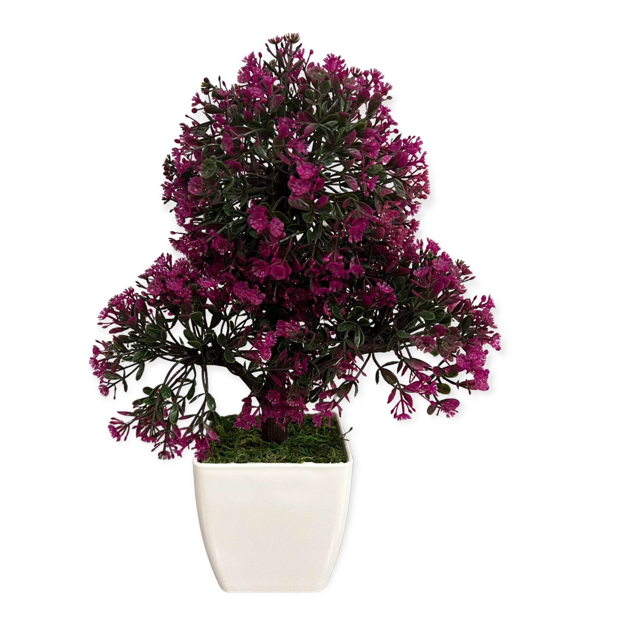 Artificial : Bonsai in Triangular Shape